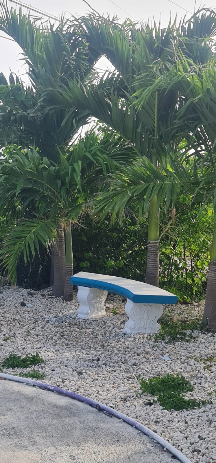 Garden seating near Flavourz Roselle