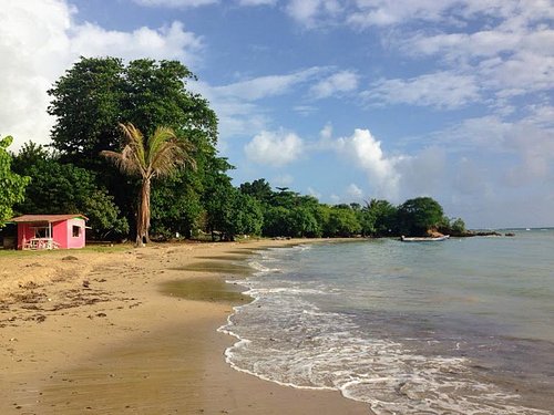 Sunny shoreline at Lyssons Beach